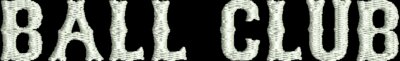 Embroidery (Ball Club White)