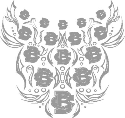 BC 2009 Est. FB