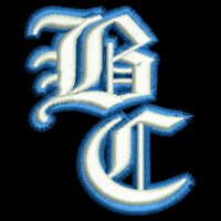 BC (2 Color) Navy Hat