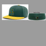 Player Hat 2025 PTS20 PULSE R-FLEX