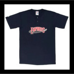 Round Rock Express