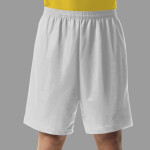 Men's 7" Inseam Lined Micro Mesh Shorts