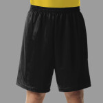 Men's 7" Inseam Lined Micro Mesh Shorts