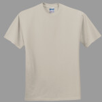 Heavy Cotton 100% Cotton T Shirt