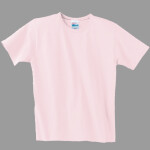 Ladies Crewneck T Shirt