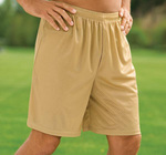 Sport Tek Mesh Short