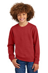 Youth V.I.T. Fleece Crew