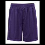 Men's Mini Mesh 9'' Inseam Shorts