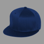 Pro-Baseball On Field Cap