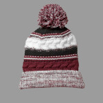 Pom Pom Team Beanie