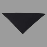 USA-Made Doggie Bandana