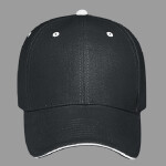 OTTO CAP 6 Panel Low Profile Baseball Cap