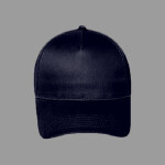 OTTO CAP 5 Panel Low Profile Baseball Cap