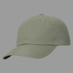 Sustainable Ashland Dad Hat