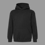 Youth Hooded Sweatshirt