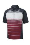 Sport-Tek® Dry Zone® Sublimated Stripe Polo. ST600